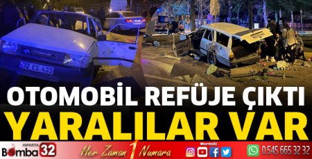Otomobil refüje çıktı