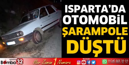 Otomobil şarampole düştü 