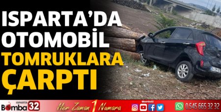 Otomobil tomruklara çarptı