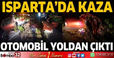 Otomobil yoldan çıktı