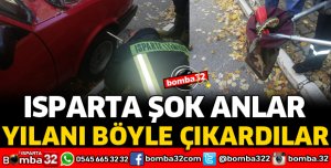 OTOMOBİLDE YILAN KURTARMA OPERASYONU