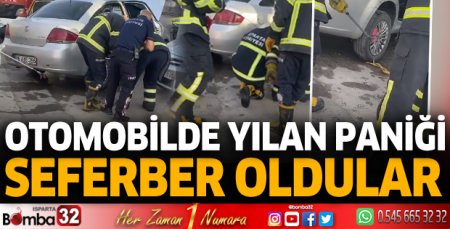 Otomobilde yılan paniği