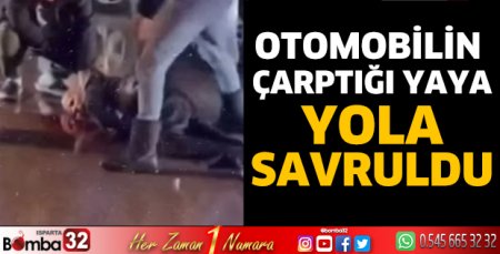 Otomobilin çarptığı yaya yola savruldu