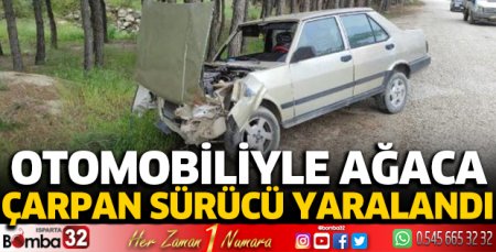Otomobiliyle ağaca çarpan sürücü yaralandı