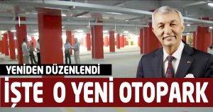 Otopark projesi