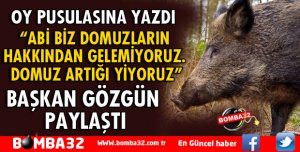 OY PUSULASINA DOMUZ SORUNUNU YAZDI