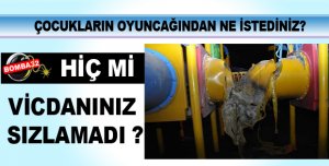 OYUN PARKINI YAKTILAR