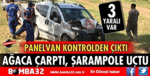 PANELVAN ÖNCE AĞACA ÇARPTI SONRA ŞARAMPOLE UÇTU
