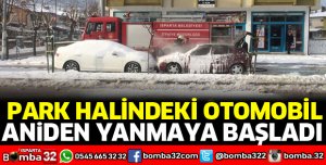 PARK HALİNDEKİ OTOMOBİL ALEV ALDI