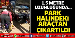 Park halindeki otomobilde yılan paniği