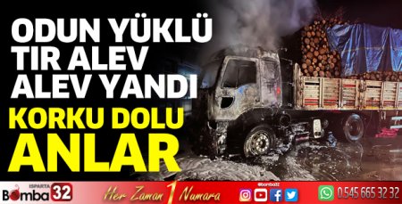 Park halindeyken alev alev yandı