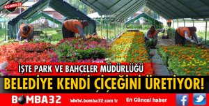 PARK VE BAHÇELER MÜDÜRLÜĞÜ DİKİLEN ÇİÇEKLERİN YÜZDE 20’SİNİ KENDİSİ ÜRETİYOR