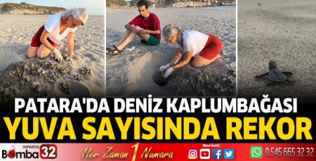 Patara'da deniz kaplumbağası yuva sayısında rekor