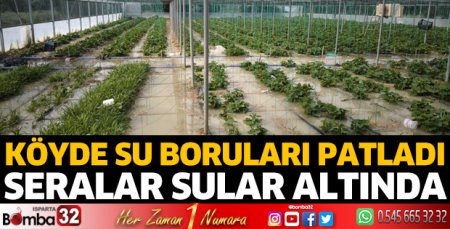 Patlayan su borusu seralara zarar verdi
