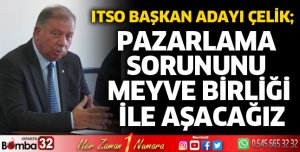 Pazarlama sorununu meyve birliği ile aşacağız