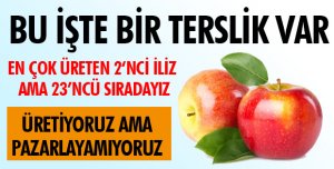 PAZARLAYAMIYORUZ!