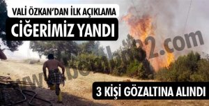 PİKNİK ATEŞİ ORMANI YAKTI: 3 GÖZALTI