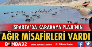 PLAJIN AĞIR MİSAFİRLERİ VARDI