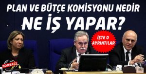 Plan ve Bütçe Komisyonu Nedir, ne iş yapar?