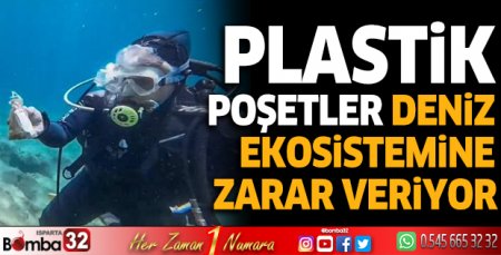 Plastik poşetler deniz ekosistemine zarar veriyor
