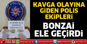 Polisin dikkati sayesinde bonzai ele geçirildi