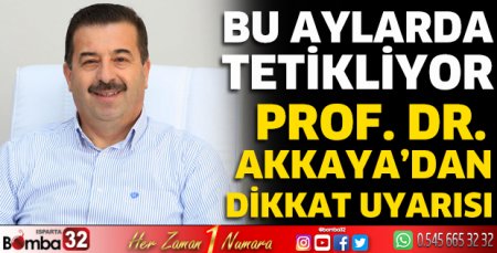 Prof. Dr. Akkaya uyardı