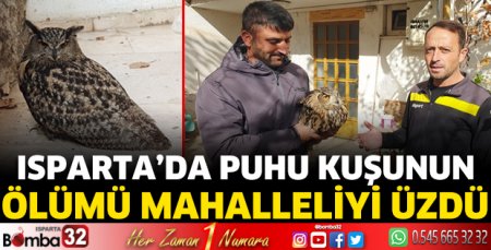 Puhu kuşunun ölümü mahalleliyi üzdü
