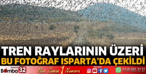 Raylar üzerindeki sığırcık sürüsünü fotoğrafladı