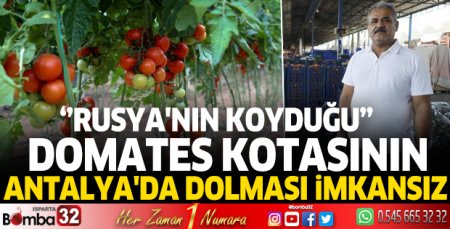 Rusya'nın koyduğu domates kotasının Antalya'da dolması imkansız