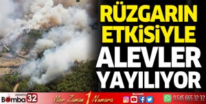 Rüzgarın etkisiyle alevler yayılıyor