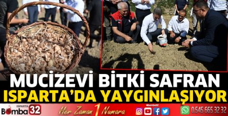 Safran, Isparta’da yaygınlaşıyor
