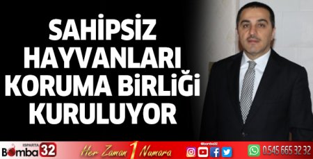 Sahipsiz hayvanları koruma birliği kuruluyor
