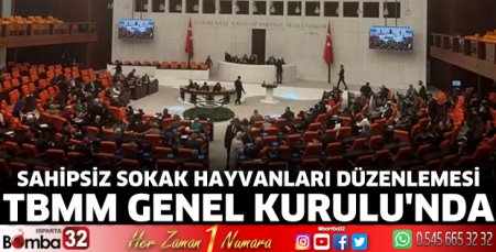 Sahipsiz sokak hayvanları düzenlemesi, TBMM Genel Kurulu'nda