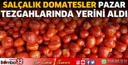 Salçalık domatesler pazar tezgahlarında yerini aldı 