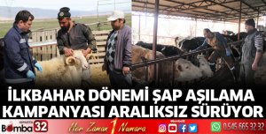 Şap Aşılama Kampanyası Sürüyor