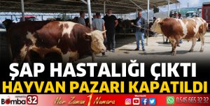 Şap hastalığı çıktı