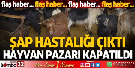 Şap hastalığı çıktı! Hayvan pazarı kapatıldı
