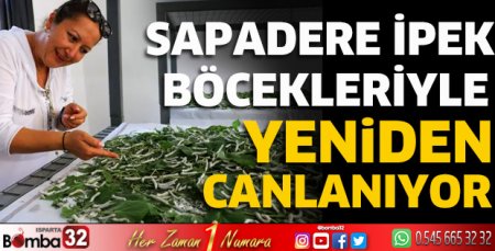 Sapadere ipek böcekleriyle yeniden canlanıyor
