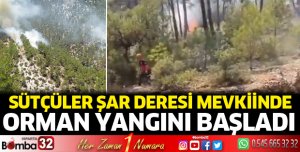 Şar Deresi bölgesinde yangın 