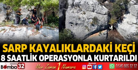 Sarp kayalıklardaki keçi 8 saatlik operasyonla kurtarıldı