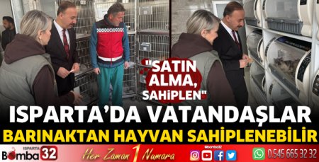 Satın alma, sahiplen