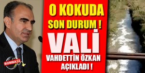 Sav'daki koku sorunu