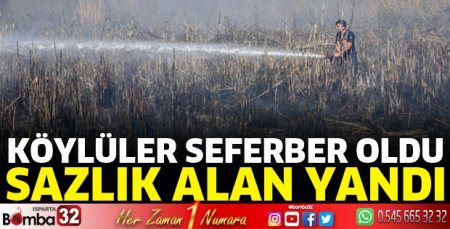 Sazlık alan yandı