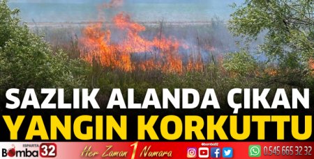 Sazlık alanda yangın 