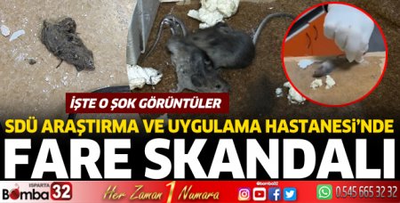 Tıp Fakültesi Hastanesinde fare skandalı 