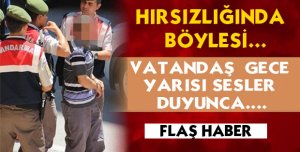 ŞEFTALİ HIRSIZLARINA SUÇÜSTÜ