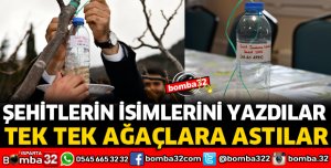 ŞEHİTLERİN İSİMLERİNİ YAZIP TEK TEK AĞAÇLARI ASTILAR