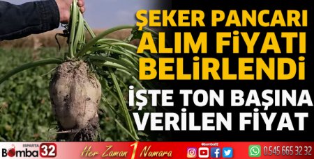 Şeker pancarı alım fiyatı belirlendi