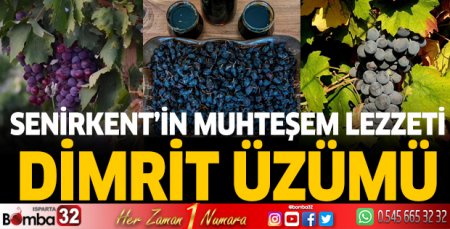 Senirkent'in muhteşem lezzeti: Dimrit Üzümü