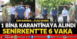 SENİRKENT'TE 6 VAKA